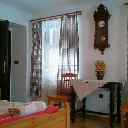 ゲストハウス Zajezdni Krcma Lanškroun